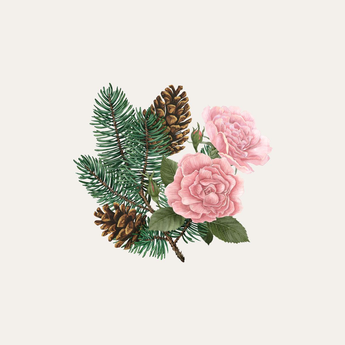 Siberian Pine & Winter Rose Botanical palet